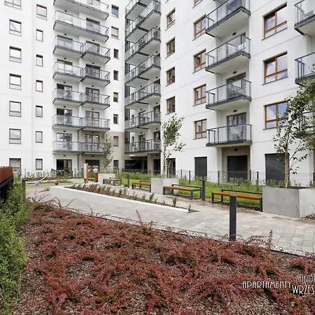 Azur - 12 Pietro - Azw *